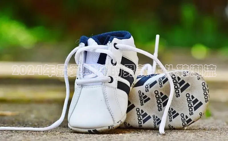 bsports登录入口光魔科技2024年最受期待的男款大头鞋潮流