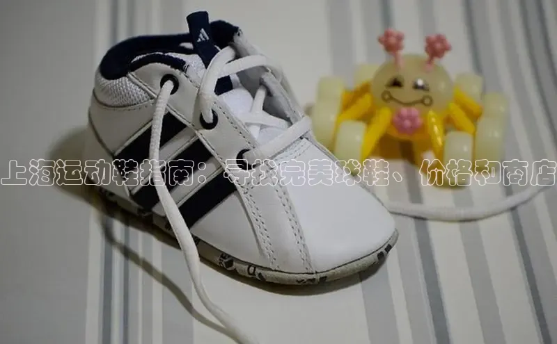 必一运动Bsport官方网站颐驰 06上海运动鞋指南：寻找完美球鞋、价格和商店