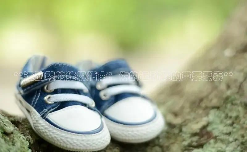 B体育手机网页版登录百度手机输入法**运动鞋的终极指南：你的运动鞋的重要要素**