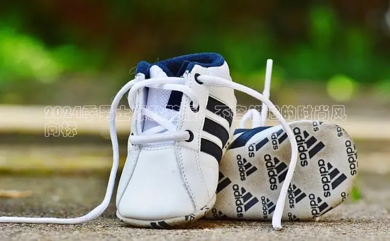 Bsport体育-官方网站诸葛科技2024季男士爆款鞋履：不容错过的时尚风
向标