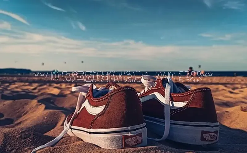 Bsports手机版百度翻译App**40 码运动鞋的长度：240 毫米**