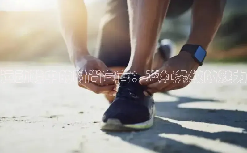 Bsports在线登录入口百度教育运动鞋中的时尚宣言：蓝红条纹的魅力