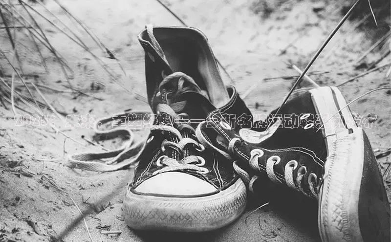 2025：未来，重塑经典——全新名牌运动鞋系列发布