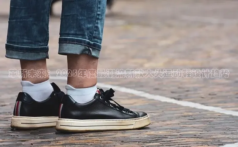 B体育手机网页版登录