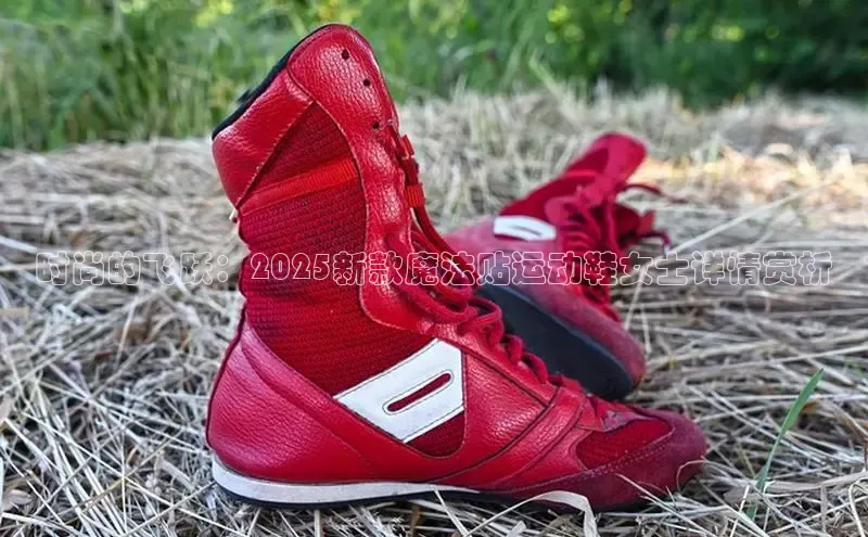 必一运动bsport体育