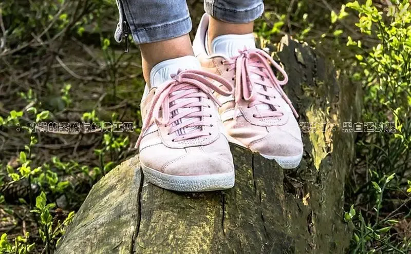 B体育app在线登录下载