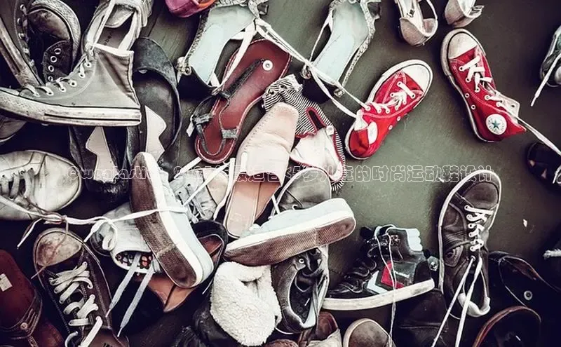 Bsports网页版登录入口