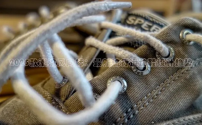 b体育(中国)官方网站