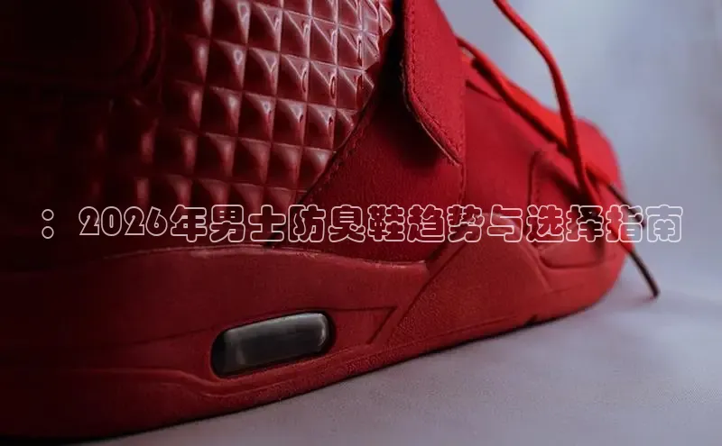 必一运动bsport体育